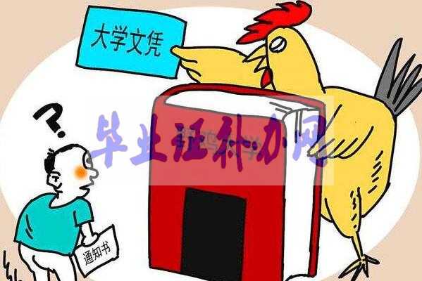 讀了三年的大學(xué) 沒(méi)想到畢業(yè)證竟是假的