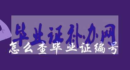高中畢業(yè)證丟了怎么查詢編號(hào)的方法！