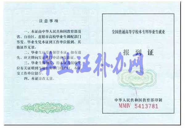 就業(yè)報(bào)到證樣本圖片模板