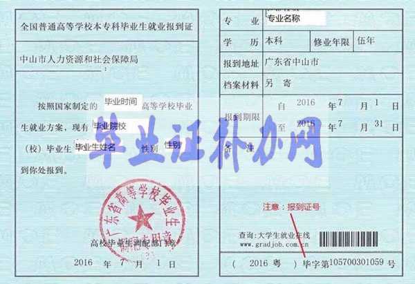 廣東省就業(yè)報(bào)到證樣本圖片模板